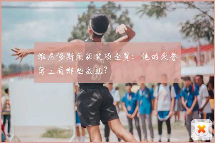 维尼修斯荣获奖项全览:他的荣誉簿上有哪些成就?